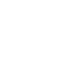 Travelers' Choice Award