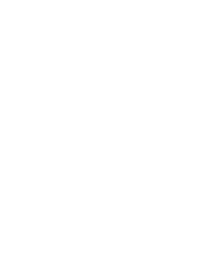 2020 Traveler's Choice Award